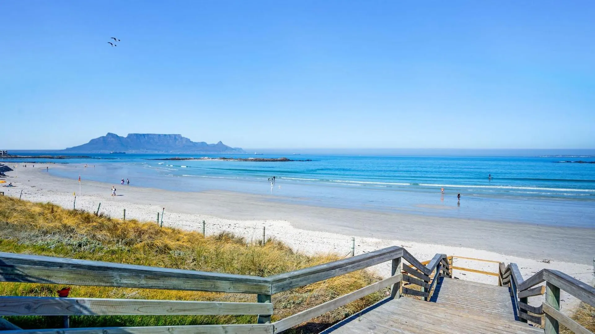 Apartment Ferienwohnung Eden On The Bay 118 By Host Agents Bloubergstrand